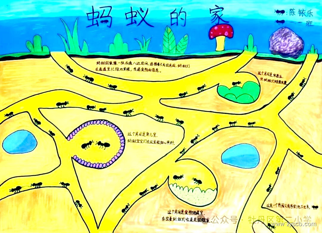 “小动物的家”关于小动物的手抄报图片-第4张 “小动物的家”关于小动物的手抄报图片-第4张