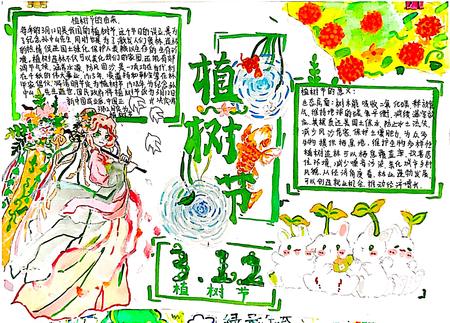 爱绿护绿 312植树节手抄报作品（9张)