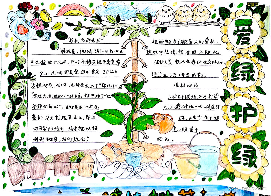 爱绿护绿 312植树节手抄报作品（9张)-第4张