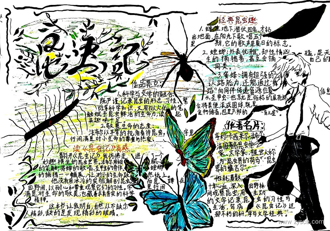 名著阅读之《昆虫记》高清手抄报作品-第2张
