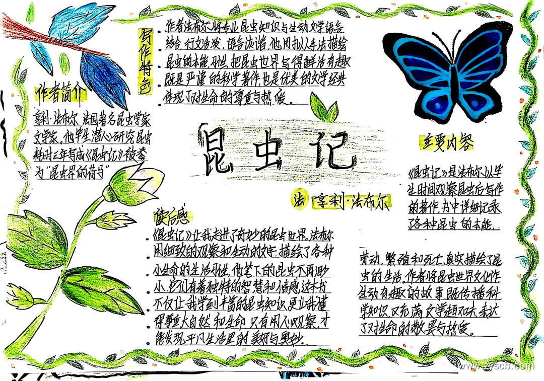 名著阅读之《昆虫记》高清手抄报作品-第1张