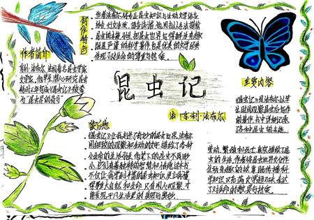 名著阅读之《昆虫记》高清手抄报作品（5张）