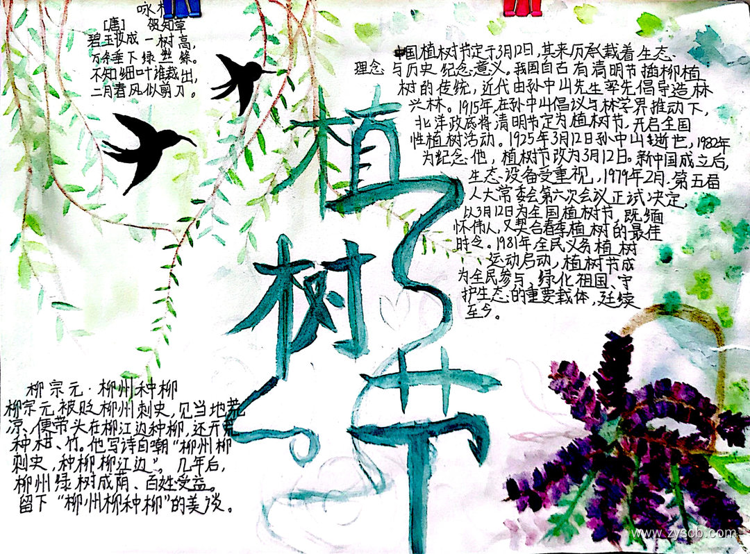 爱绿护绿 312植树节手抄报作品（9张)-第3张
